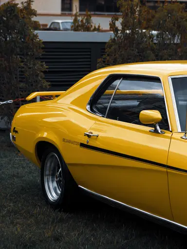 upscale_PROpixelAI_UPscale_photo_010