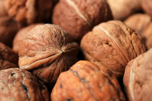 upscale_PROpixelAI_UPscale_photo_014