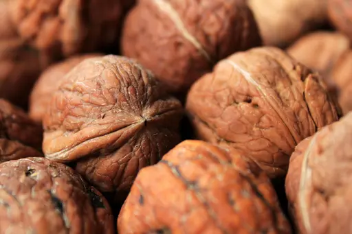 upscale_PROpixelAI_UPscale_photo_014 before