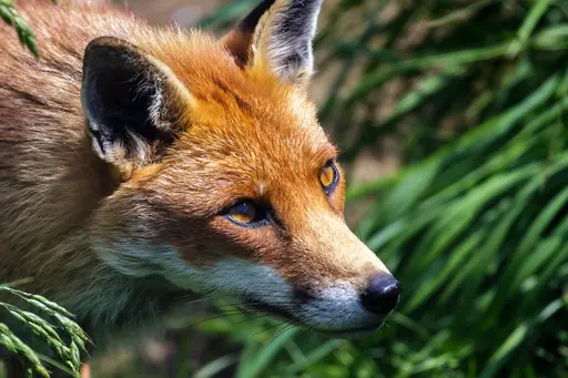 upscale_ProPixel_UPscale_Photo_017